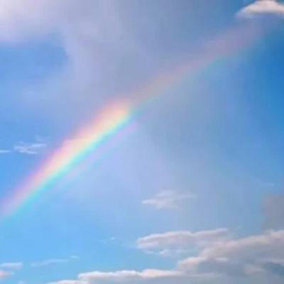 中欧体育app下载入口