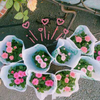 中欧体育app下载官网