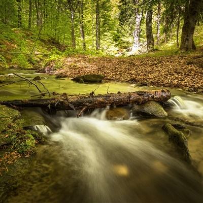 波胆app官网app下载